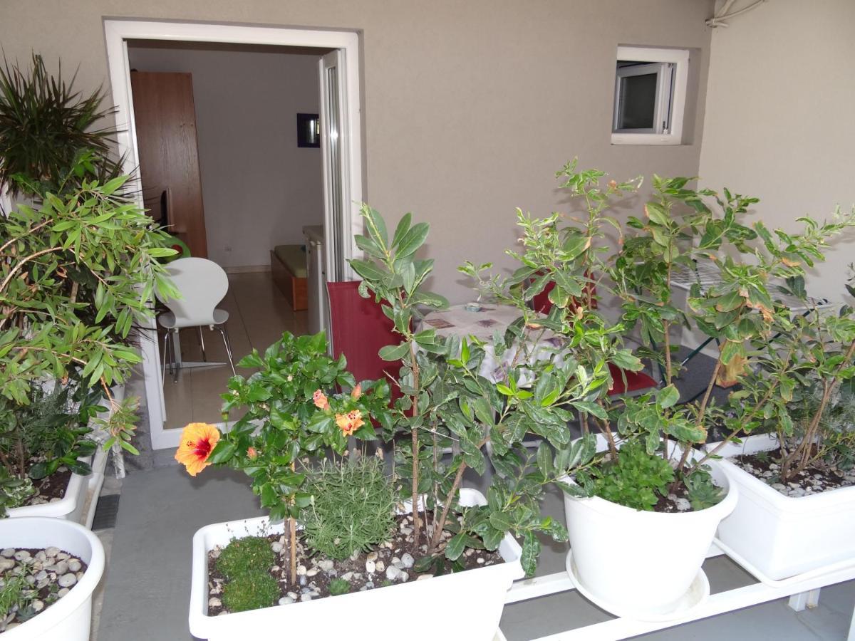 Jasna Apartment